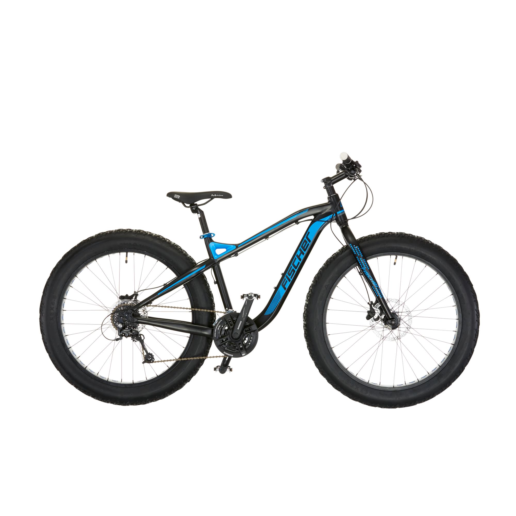 fat bike 2019